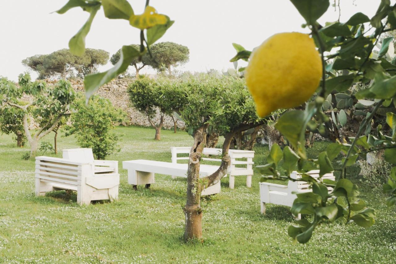 Masseria Paralupi Bed & Breakfast Lecce Bagian luar foto