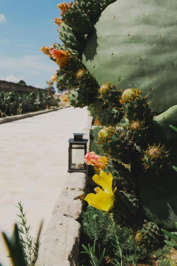 Masseria Paralupi Bed & Breakfast Lecce Bagian luar foto