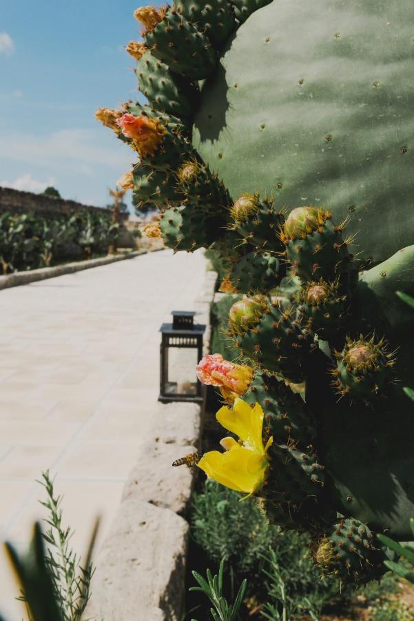 Masseria Paralupi Lecce Bagian luar foto